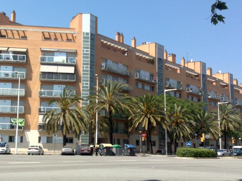 03062009279.thumb.jpg.b4142e87b2f89f0201