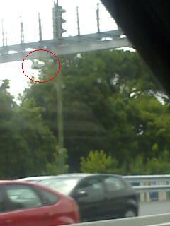 0806071624gw3.thumb.jpg.7687da9e3843ad0e