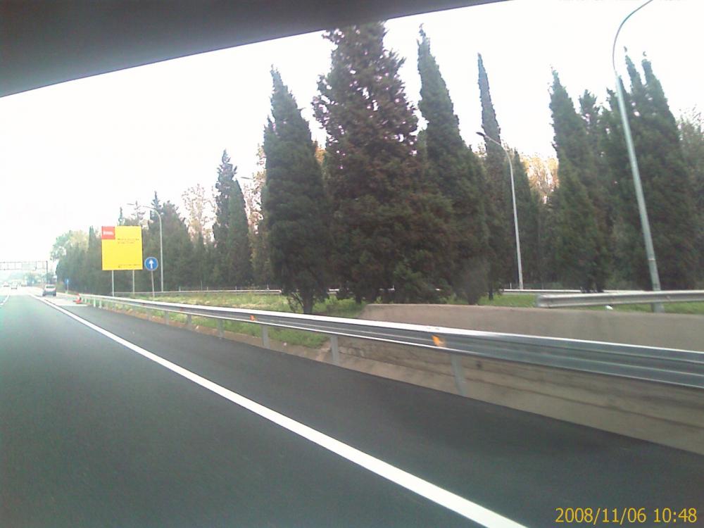 1.thumb.jpg.b8859bc73b6192f416770bb4b34c