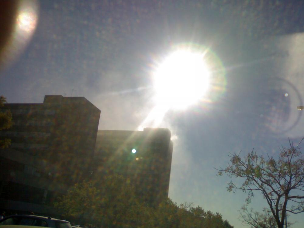 12122007409.thumb.jpg.02fda975c38901d28d