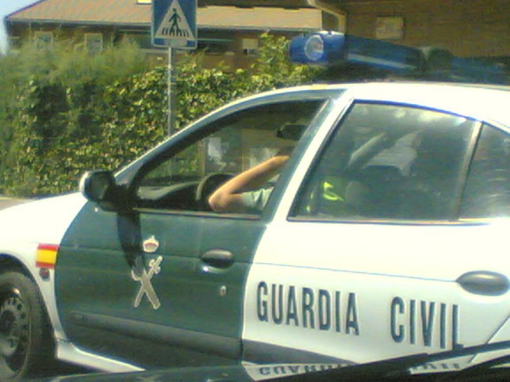 56fd037f3c913_picolol1.thumb.jpg.f882315