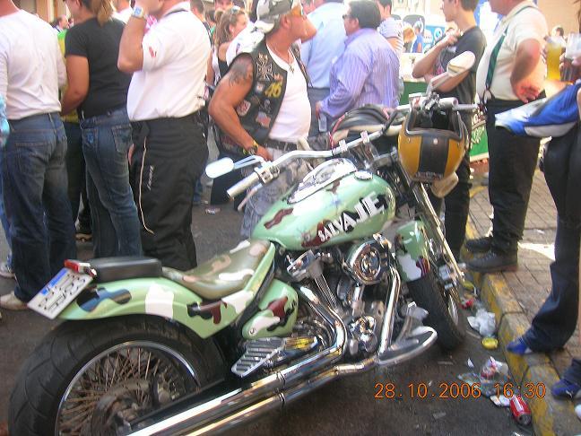 56fd047cbf9df_CopiadeDSCN1955.thumb.JPG.