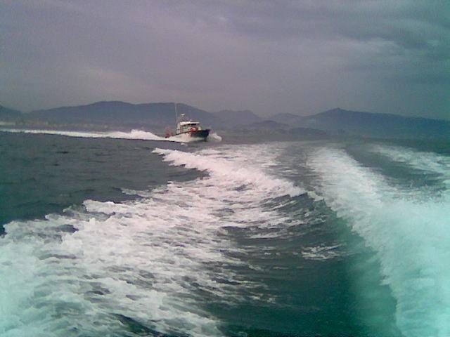 56fd049a47337_Porlaproa.thumb.jpg.975049