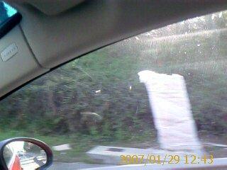 56fd04fc4fb22_CajaB-140.thumb.jpg.f0e2a1