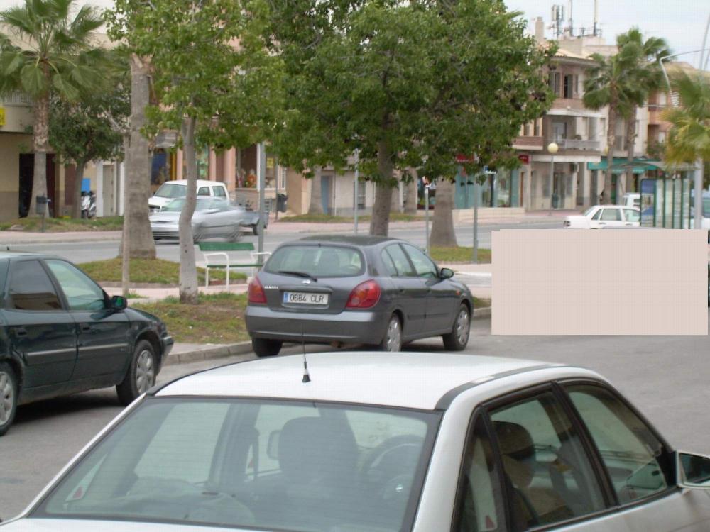 56fd064dc9d3f_copiadeDSCN1037.thumb.JPG.