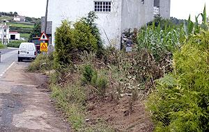 56fd06ba33c2e_malpica02.thumb.jpg.fa6ac0