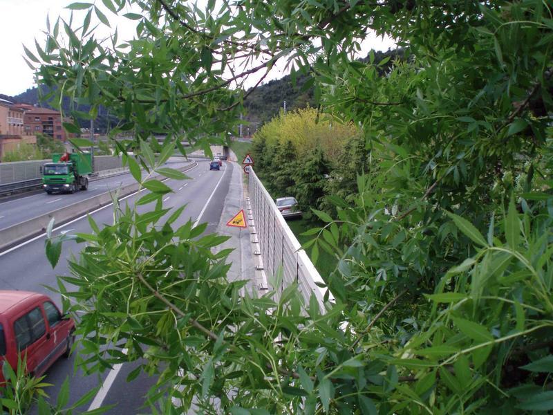 56fd0725710db_P4160162a.thumb.jpg.dbd9c6