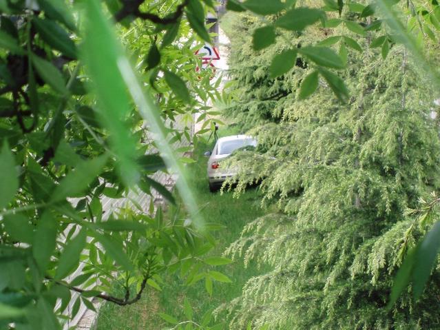 56fd0725d8232_Radar1.thumb.jpg.b7f61efda