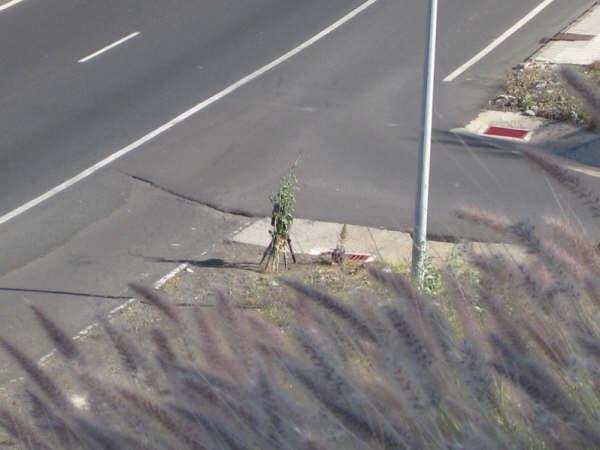 56fd072cc7ceb_AutoveloxMaresme2.thumb.jp