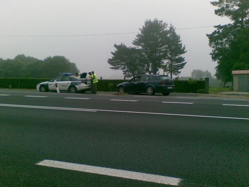 56fd073847753_alfas1.thumb.jpg.aea2c01c3