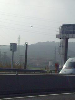 56fd07a6d52ab_radarsta.cristina.thumb.jp