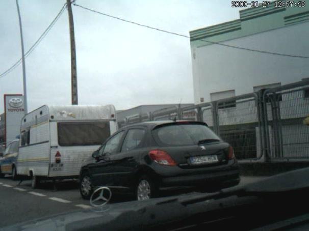 56fd07c6d4f72_Rubianes1.thumb.JPG.2f69ab