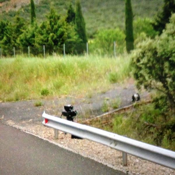 56fd0869157df_2013-11-0217.10.40.thumb.j