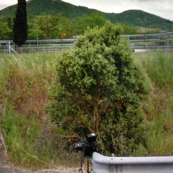 56fd08694b818_2013-11-0217.11.00.thumb.j