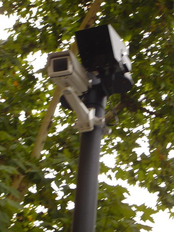 DSC00179.thumb.JPG.932ea89952b85561d03fb