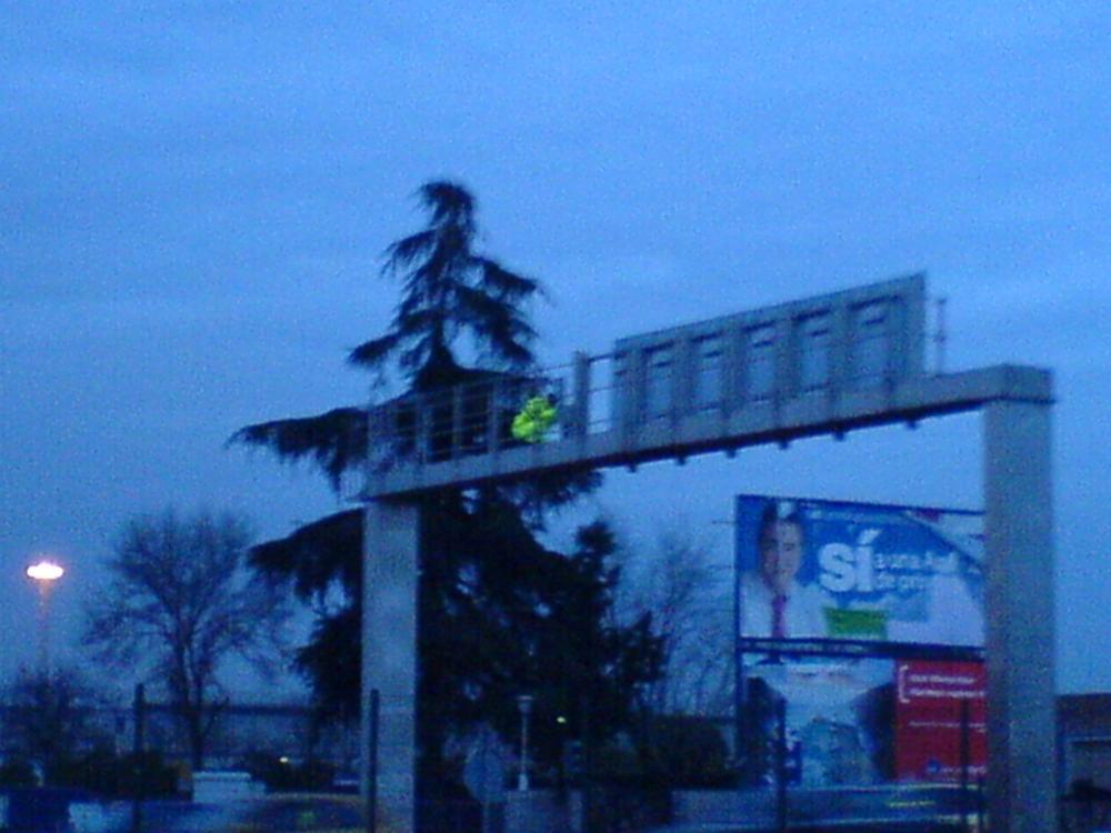 DSC00193.thumb.JPG.af62413239d3c50fc51c2