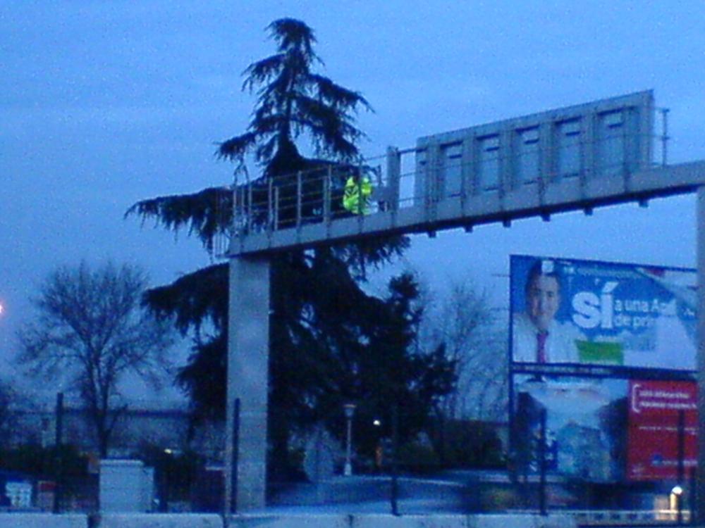 DSC00194.thumb.JPG.f59934b78ee2c2f6011ed