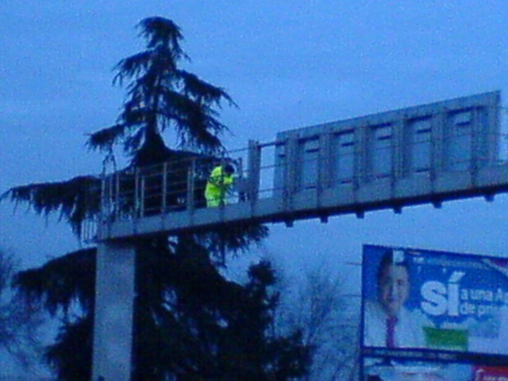 DSC00195.thumb.JPG.ea910171fe3f064ace2b0