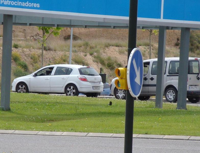 DSC01235.thumb.jpg.665342abe3d0bc2fac756