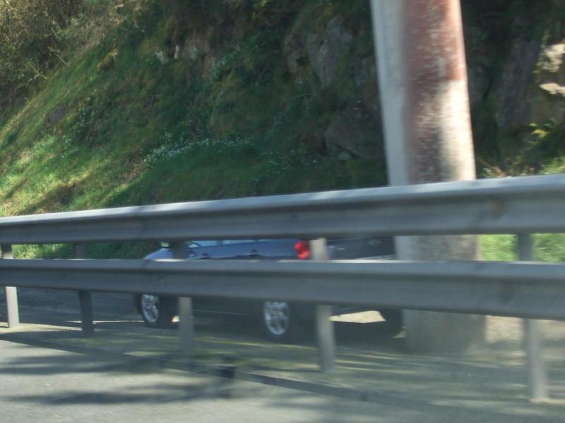 DSCF3817.thumb.jpg.b354cd971841ec0f33bfc