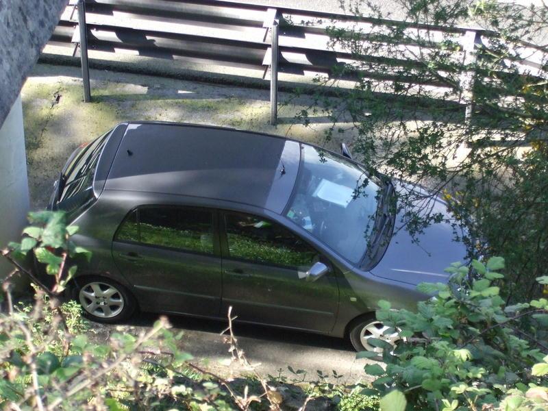 DSCF3819.thumb.jpg.7ffe19c11fcc080ef49c2