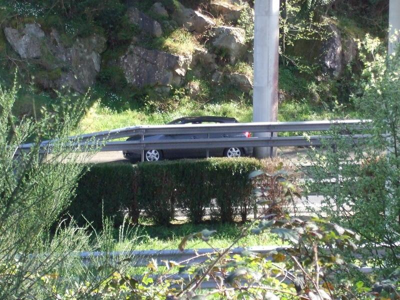 DSCF3821.thumb.jpg.83d0f1306a31032c50184