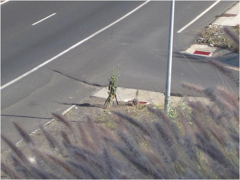 Foto1.thumb.jpg.dfc2985aab6e821839deb3b2