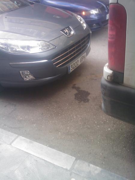 IMAGE_124.thumb.jpg.62ee4a1b0c8e3340727b