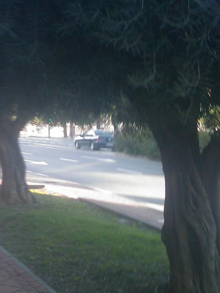 IMAGE_264.thumb.jpg.13c5ce9ec40cb5d2fdc7