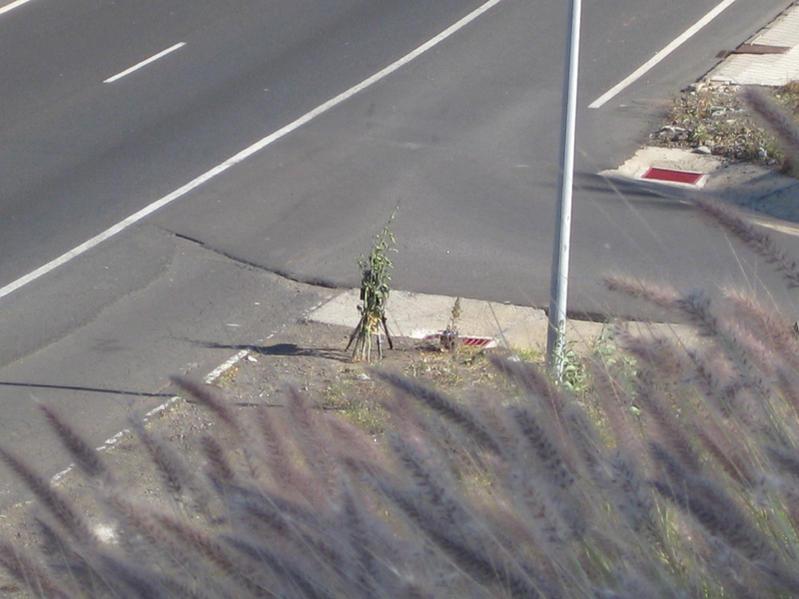 IMG_1183.thumb.jpg.455fd5fd626f338d1e064