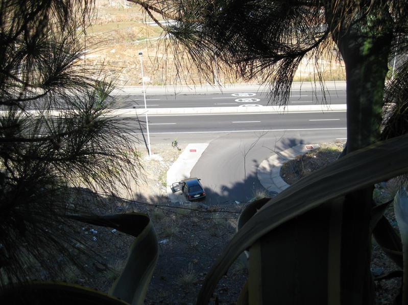 IMG_1197.thumb.jpg.a2d074ac544236cda9ecb