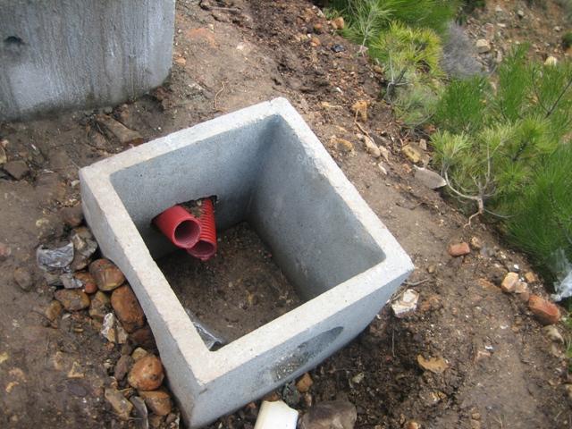 IMG_1580.thumb.JPG.0a04249dc419d53adee3d