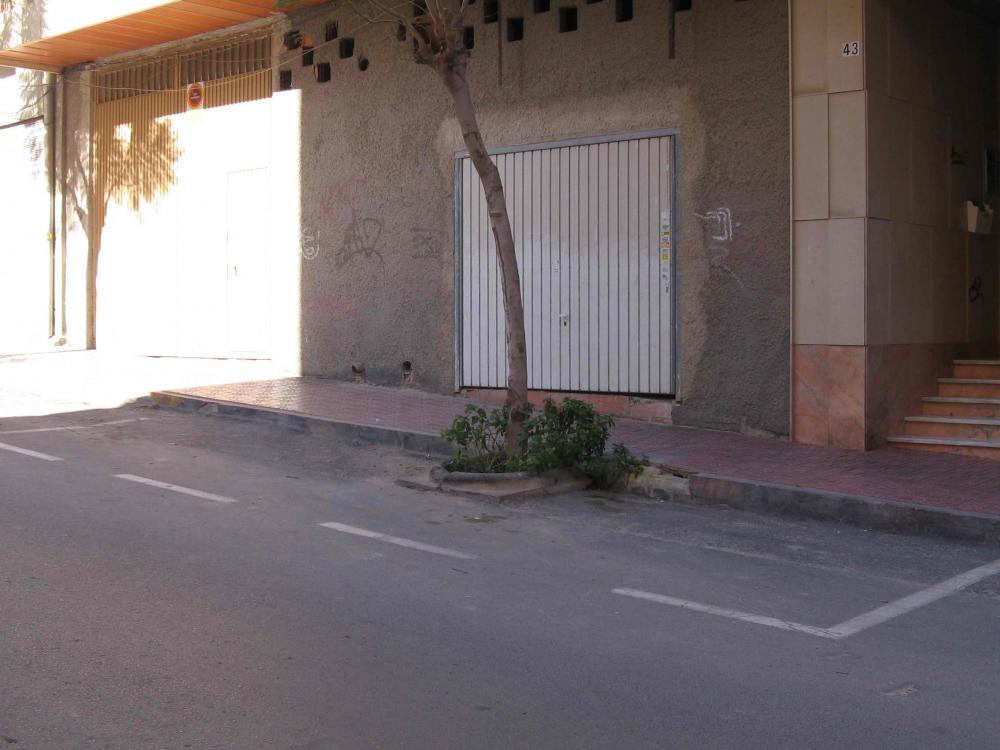 IMG_3923.thumb.jpg.c2d8e4ebab6f5be4bff10