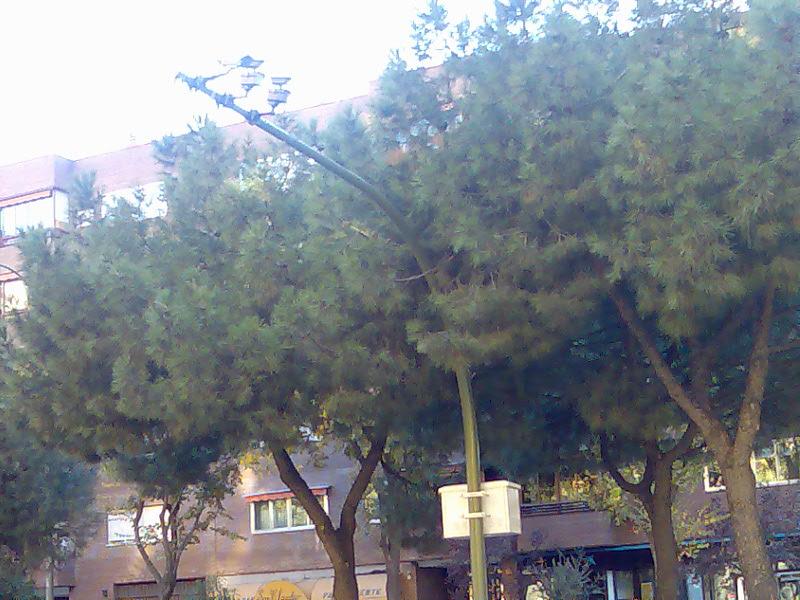 Imagen007.thumb.jpg.22f7613b61d0ceacb393