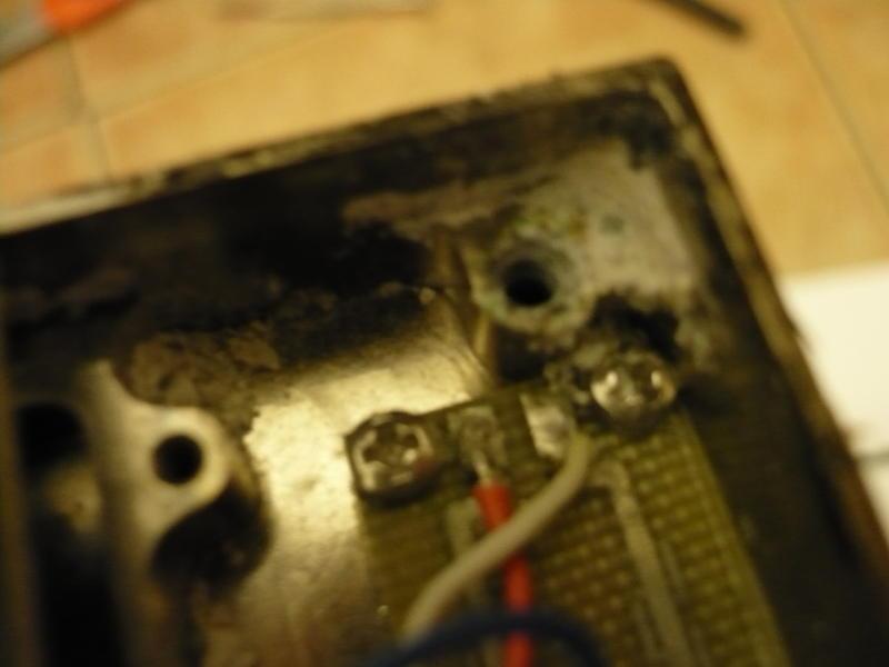 P1050371.thumb.jpg.01685a781f1f7f2464936