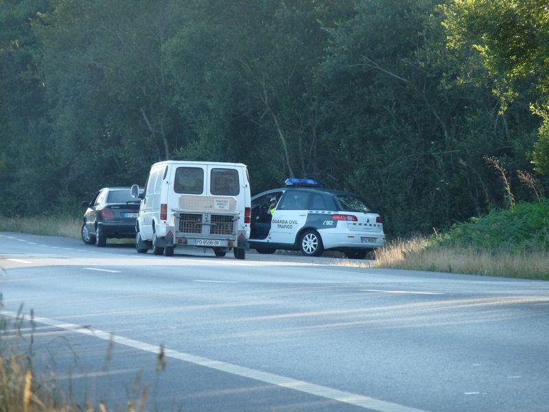 P1130025r.thumb.JPG.059ca67ff5d26ed9c2fa