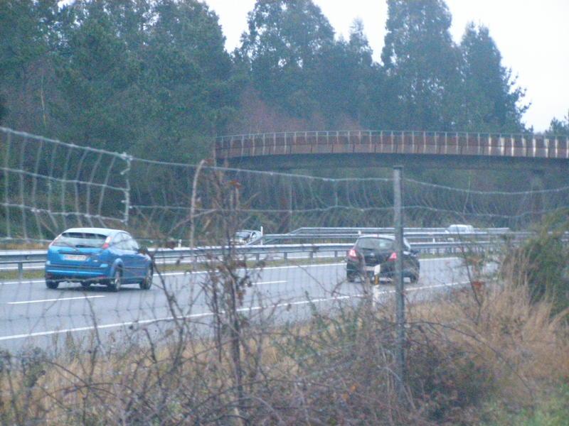 P1150102.thumb.jpg.197516b3cc1ba0e42b337