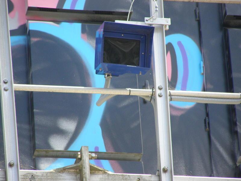 P8030002.thumb.jpg.16a87fc1cbac0b49c8e40