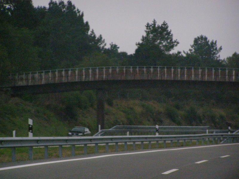 P9090025.thumb.jpg.c3a2c895d5ff980948820