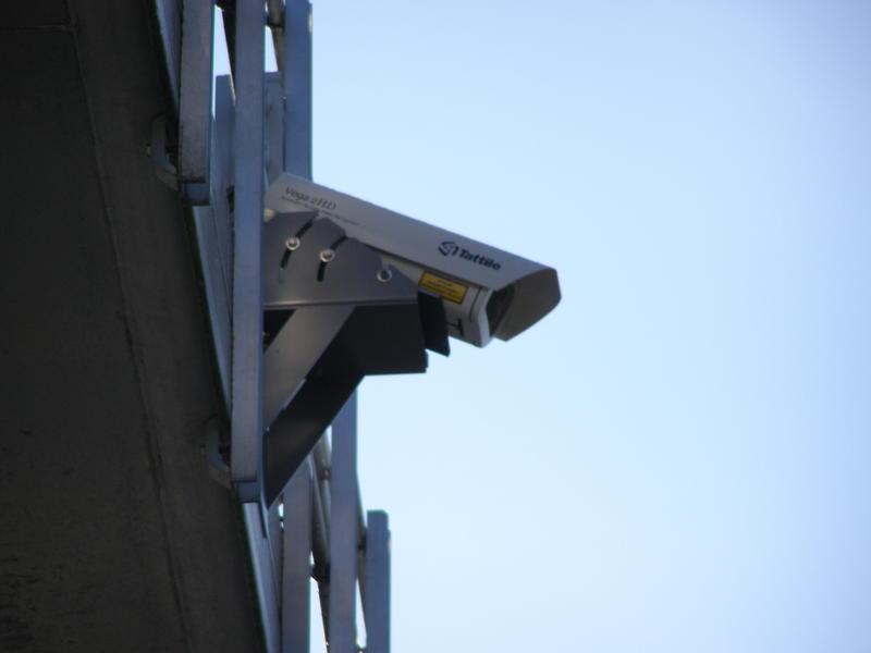 PB240003.thumb.jpg.655a916ab4edd528b1dbc