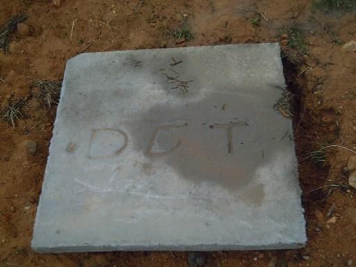 PICT0021.thumb.JPG.30fce81bebfa0e6164fa9