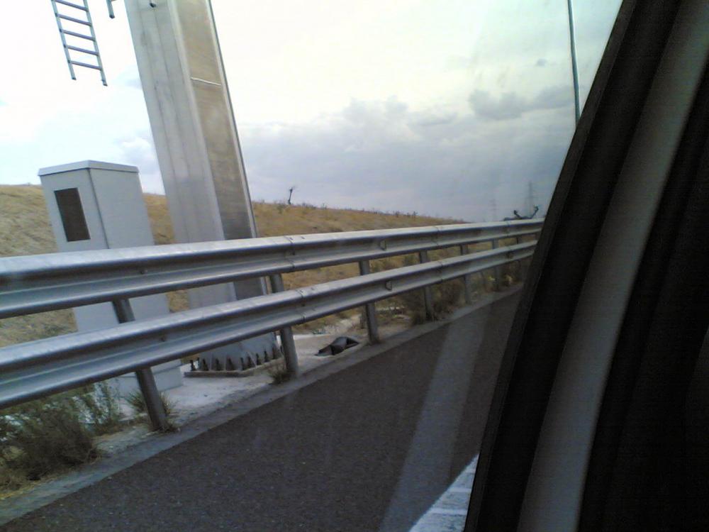 Perales1.thumb.jpg.0a9e3fdec690befcafec0