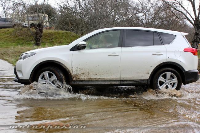 Toyota_RAV4_60.thumb.jpg.9764aad8b58dedb