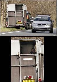 camuflado.thumb.jpg.bc89c8a13e65a22c4fc8