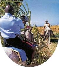 control.thumb.jpg.6901a733f89efe8f23c7c1