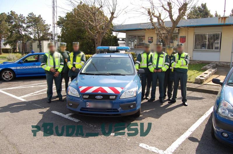 dsc0009d.thumb.jpg.5174dde5ed3b11c8b11ba