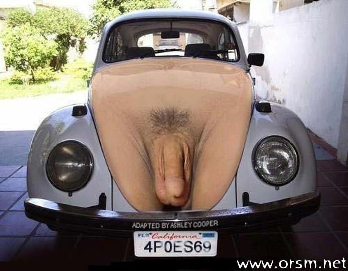 escarabajo2.thumb.jpg.821ce5155c462f82ed