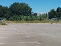 image.thumb.jpg.b3d9bee9e62229ea0b13f5f9