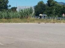 image.thumb.jpg.cb2512aa1a8415908b51da9e