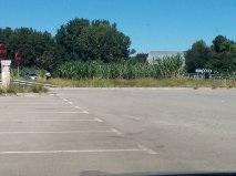 image.thumb.jpg.fef306ece8749e00e49376c9